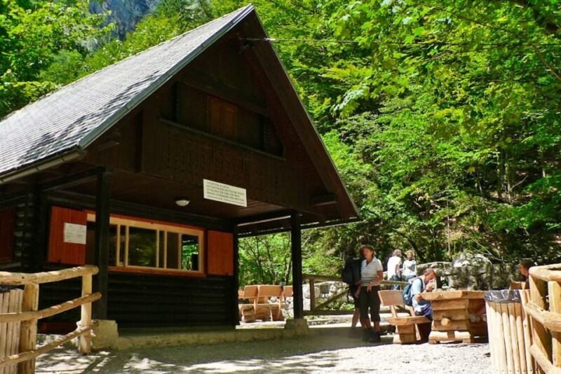 Ljubljana: Savica Waterfall, Lake Bohinj, and Lake Bled Tour - Practical Tips for Your Trip