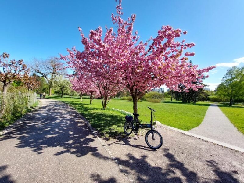 Ljubljana Sightseeing Tour by E-bikes - Authentic Experiences from Previous Travelers
