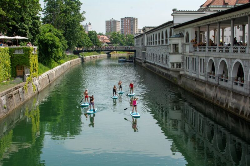 Ljubljana: Stand-Up Paddle Boarding Tour - Who This Tour Is Perfect For