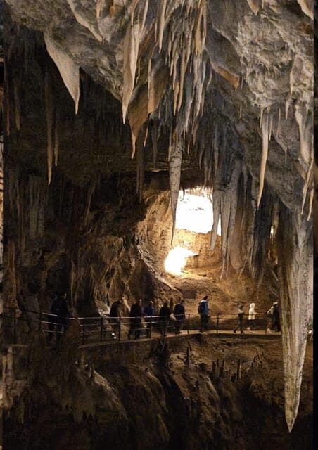 Ljubljana to Postojna Cave,Predjama Castle and Postojna park - Who Should Consider This Tour?