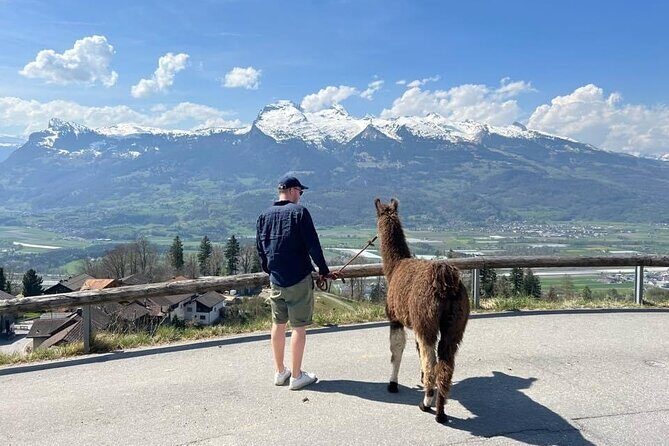 Llama hike through the wonderful Liechtenstein mountains - Who Would Love This Tour?