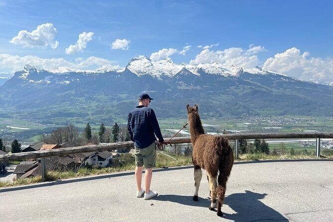 Llama hike with homemade, traditional cheese fondue - Introducing the Llama Hike with Homemade Cheese Fondue in Liechtenstein