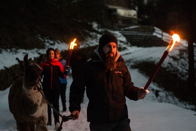 Llama hike with homemade, traditional cheese fondue - Authentic Insights from Reviewers
