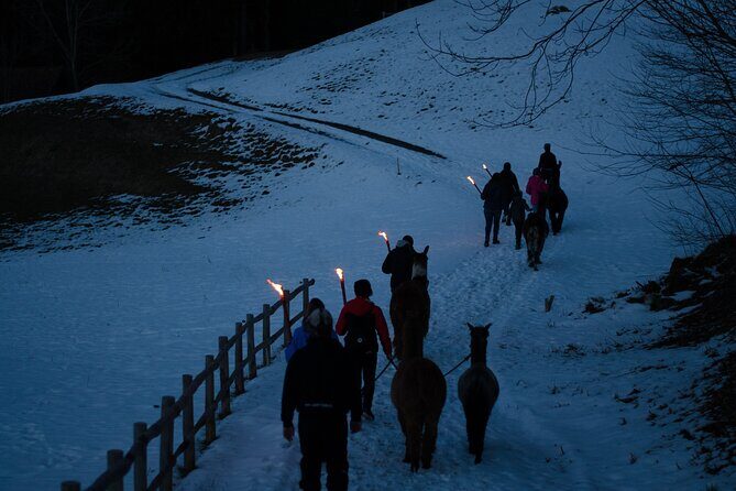 Llama hike with homemade, traditional cheese fondue - Who Will Love This Experience?