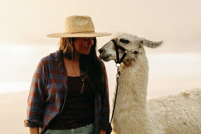 Llama Sunset Hike - Who Should Consider This Tour?