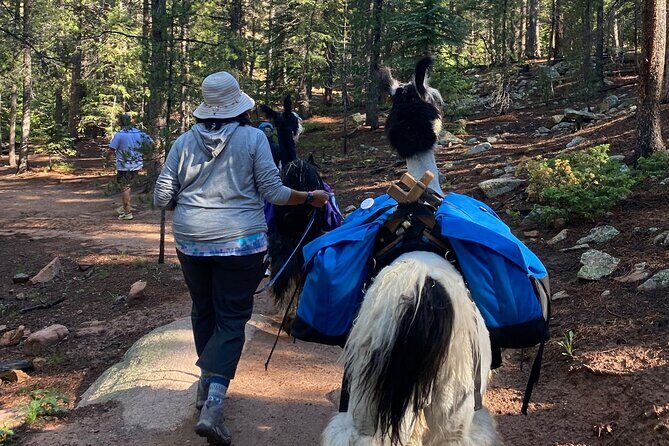 Llama to Lunch in the Rocky Mountains - FAQ