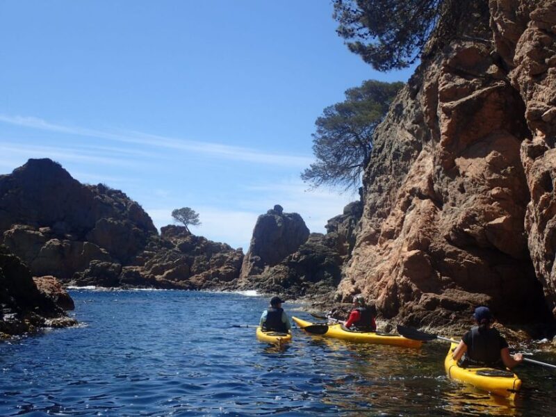 Lloret de Mar: 3-Hour Kayak and Snorkel Tour on Costa Brava - Key Points