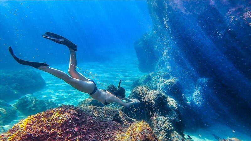 Lloret de Mar: 3-Hour Kayak and Snorkel Tour on Costa Brava - The Adventure Begins at Fenals Beach