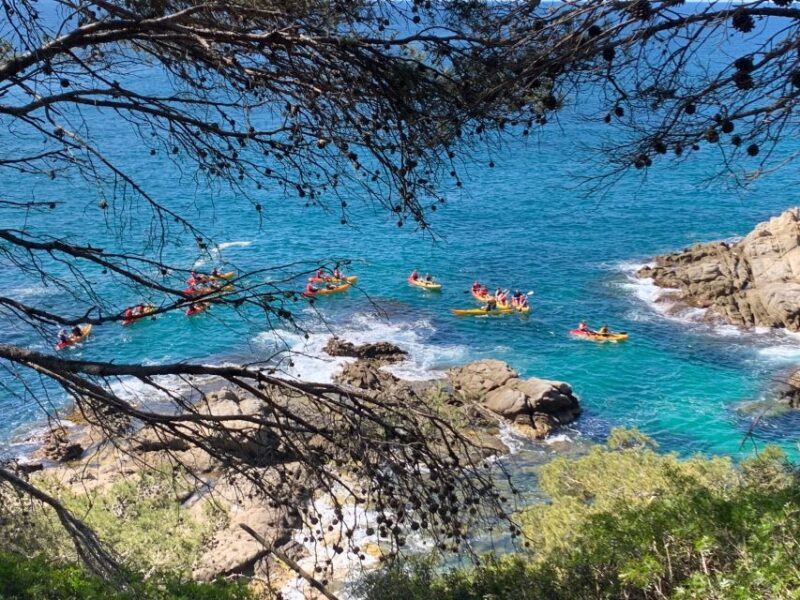 Lloret de Mar: 3-Hour Kayak and Snorkel Tour on Costa Brava - Suitability and Practicalities