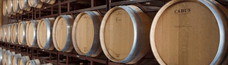 Llucmajor: Bodegas Bordoy Wine Tour - What Could Be Improved