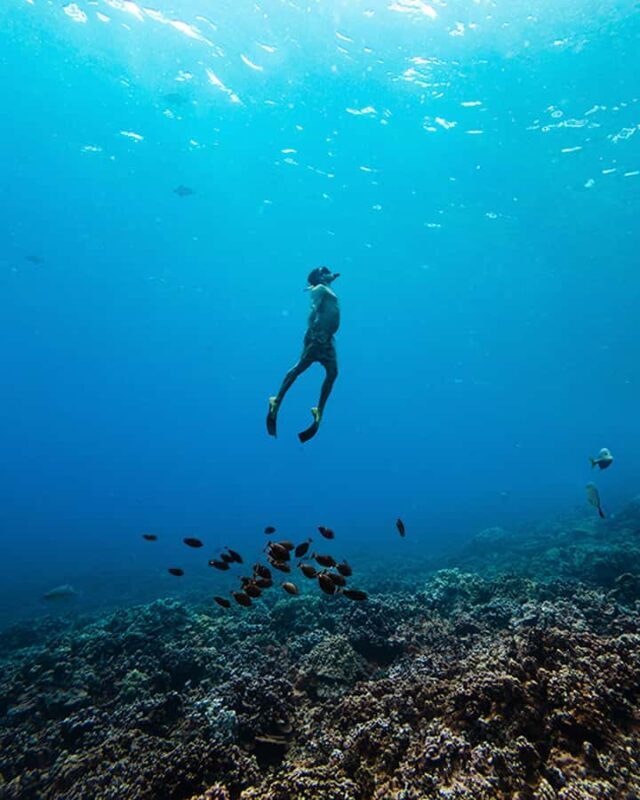 Lna'i Coast Snorkel & Sail from Lahaina - In-depth Breakdown of the Tour