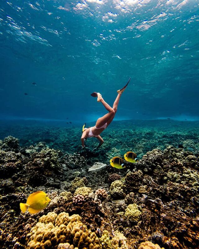 Lna'i Coast Snorkel & Sail from Lahaina - The Sum Up: Who Should Consider This Tour?