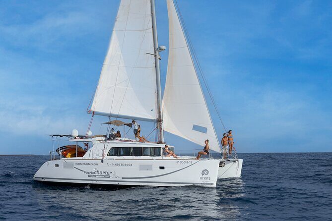 Lobos Island Half-Day Sailing Tour with Lunch - What Makes This Tour Stand Out