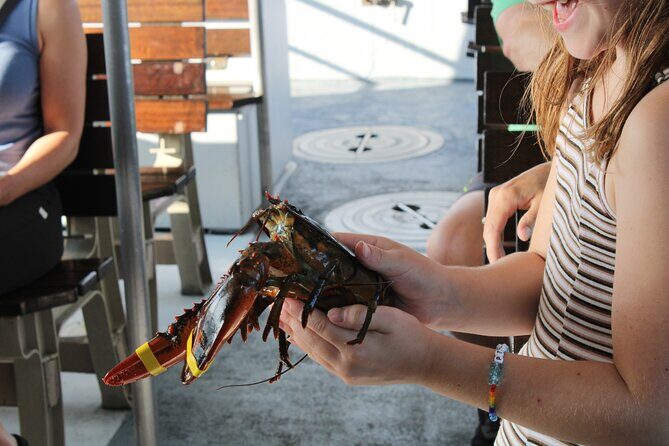 Lobstering Eco Tour - Authentic Experiences & Authenticity
