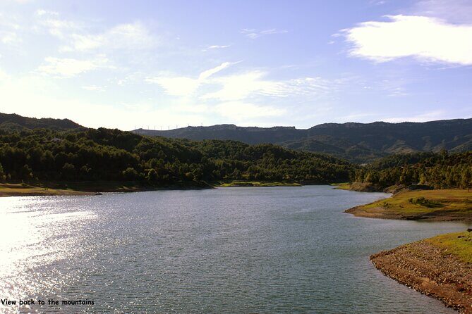 LOCAL FLAVORS! Half-Day Bike Tour with Olive Oil Tasting - FAQ