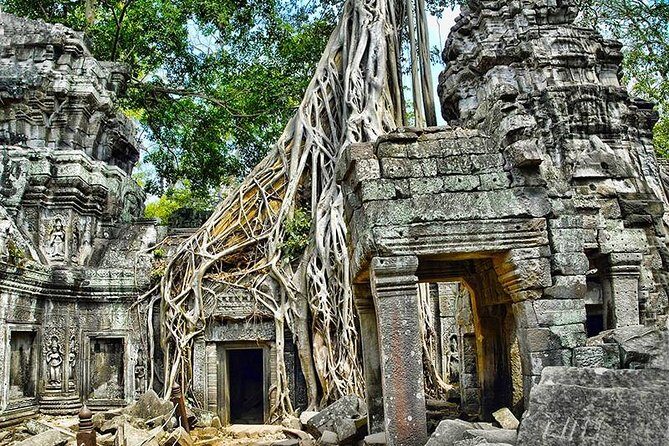 Local French Speaking Guide Angkor Wat Small-Group Tour - The Sum Up