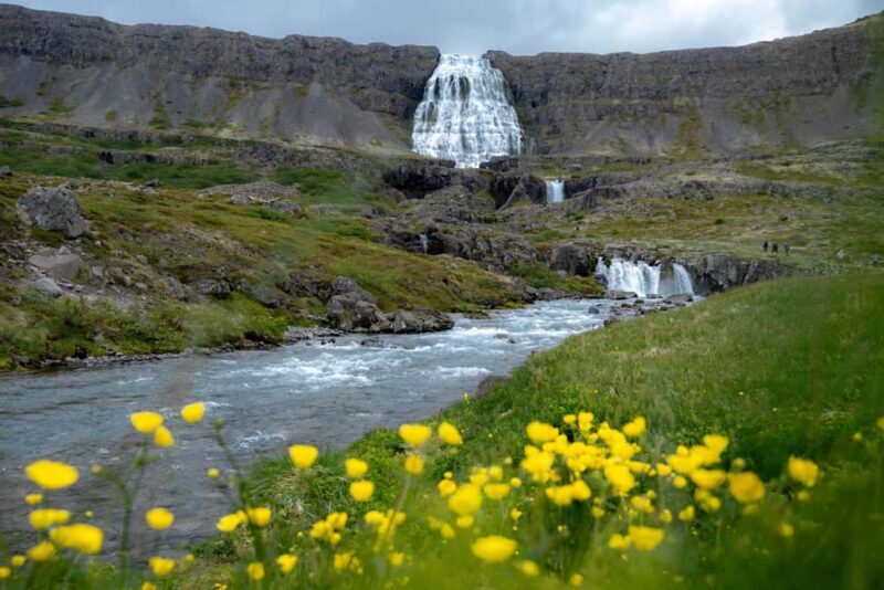 Local Guide Private Tour from Ísafjörður-Flexible Itinerary - Key Points