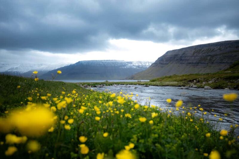 Local Guide Private Tour from Ísafjörður-Flexible Itinerary - Analyzing the Value