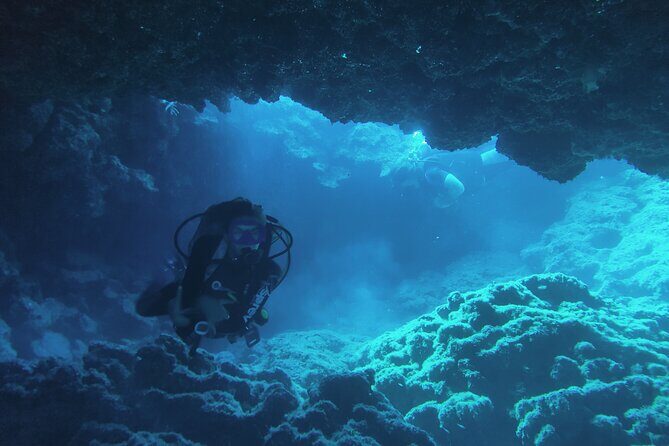 Local Guided Dives (for certified/licensed divers) - The Real-Life Experiences: What Divers Say