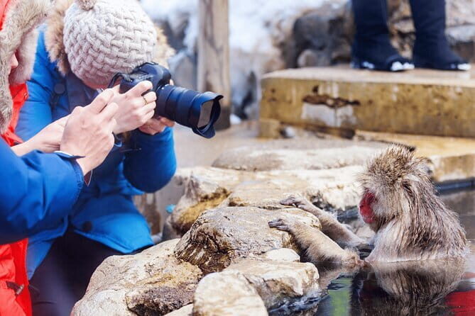 Local Private Tour to Jigokudani Snow Monkey Park - Exploring the Itinerary in Detail