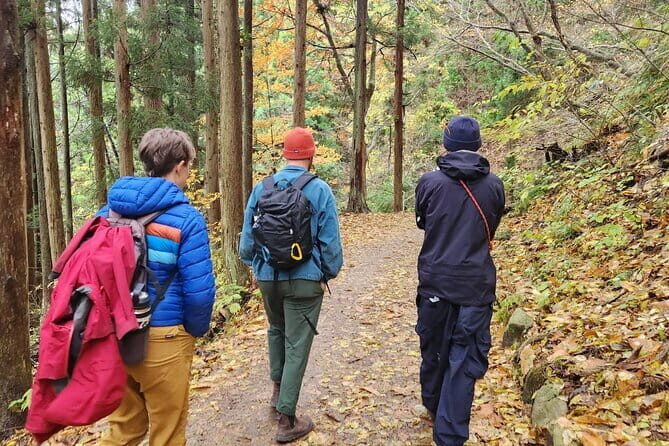 Local Private Tour to Jigokudani Snow Monkey Park - What Travelers Say & Practical Tips