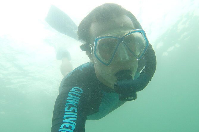Local Reef Snorkelling and Deserted Beach - An In-Depth Look at the Experience