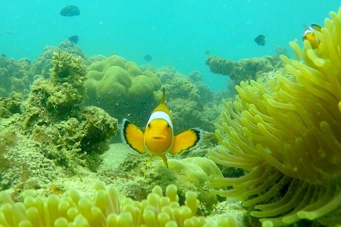 Local Reef Snorkelling and Deserted Beach - Final Thoughts