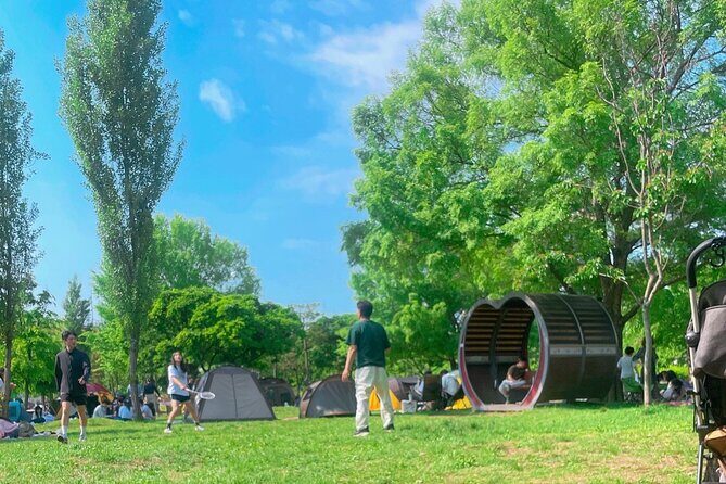 Local Seoul Tour at Traditional Market with Han River Picnic - Key Points