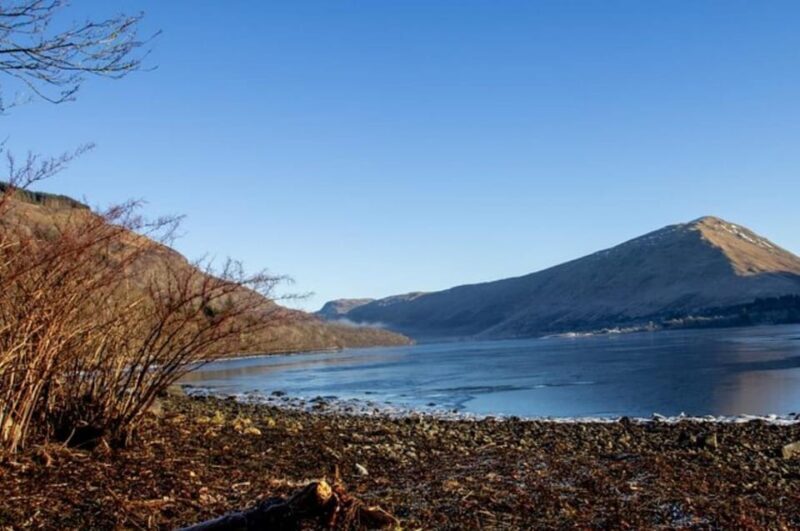 Loch Lomond Highland Cows Victorian Town Half-Day Tour - Who Is This Tour Best For?