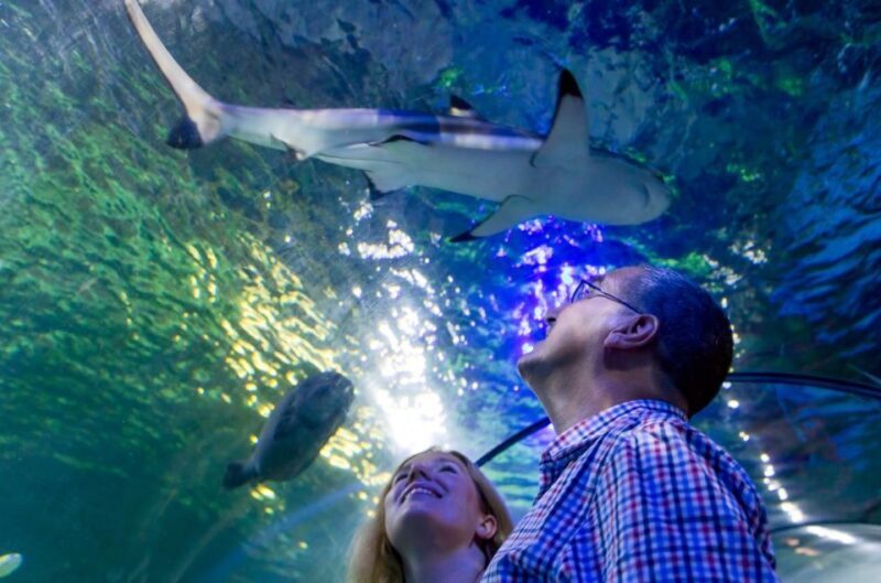 Loch Lomond: Sea Life Entrance Ticket - Location and Practicalities