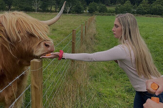 Loch Ness and Outlander Sites Tour from Inverness - The Practicalities: What You Need to Know