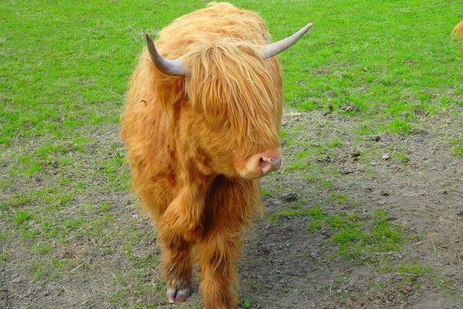 Loch Ness & Culloden Battlefield Private Tour from Inverness - The Sum Up
