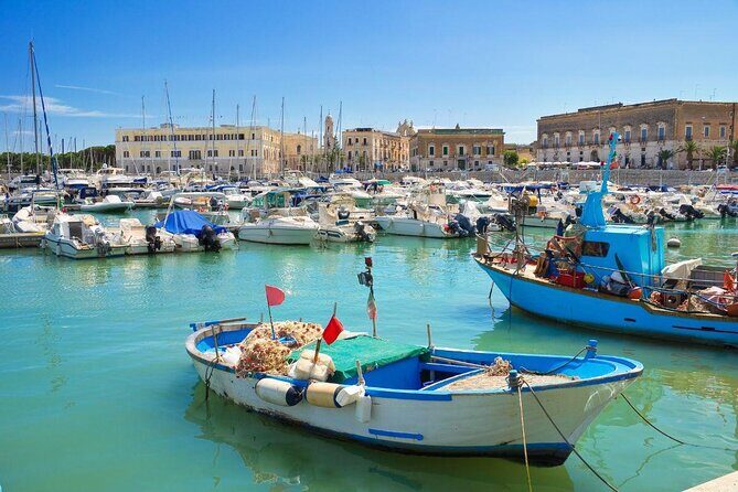 Locorotondo 2-hour private tour: a place to fall in love with - A Closer Look at the 2-Hour Private Tour in Locorotondo