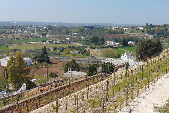 Locorotondo private tour: a charming town in the Itria Valley - Key Points