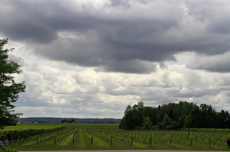 Lodi: Wine Tasting Tour Private Customized 1 -14 Group - FAQ