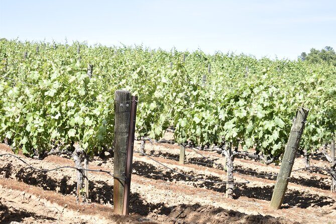 Lodi wine tasting tours Customized private 1 to 14 passenger - Frequently Asked Questions
