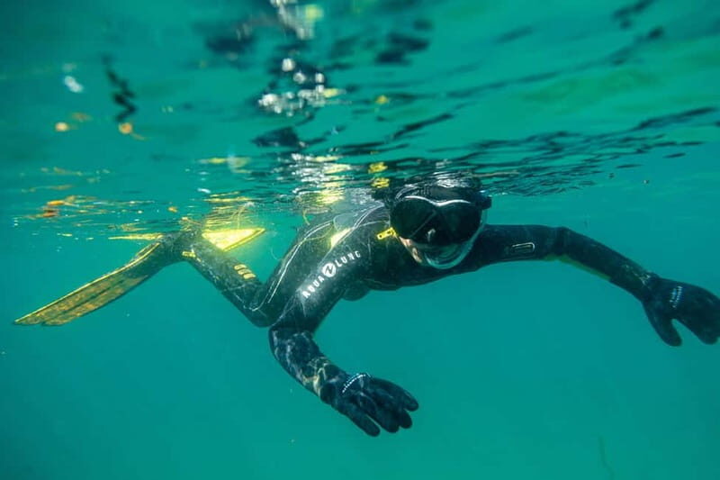 Lofoten: Family Snorkeling Tour - Key Points