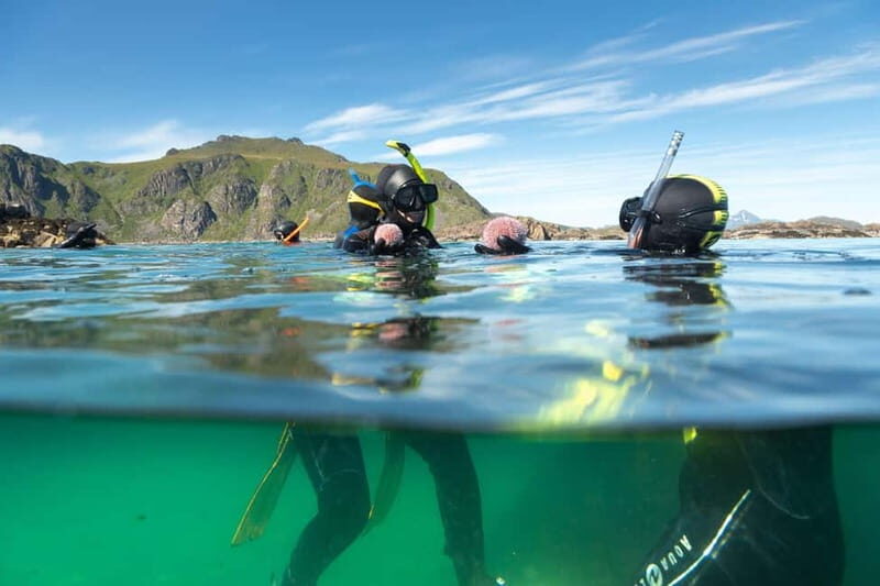 Lofoten: Family Snorkeling Tour - FAQs