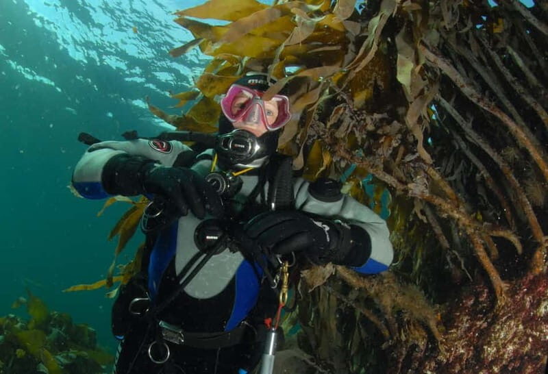 Lofoten: First Time Scuba Diving Experience - Final Thoughts