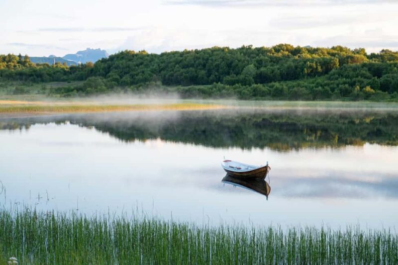 Lofoten: Half-Day Guided Tour with local guide Photo Stops - Key Points