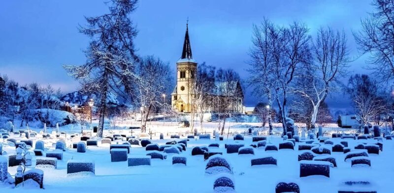 Lofoten: Half-Day Guided Tour with local guide Photo Stops - An In-Depth Look at the Lofoten Half-Day Tour