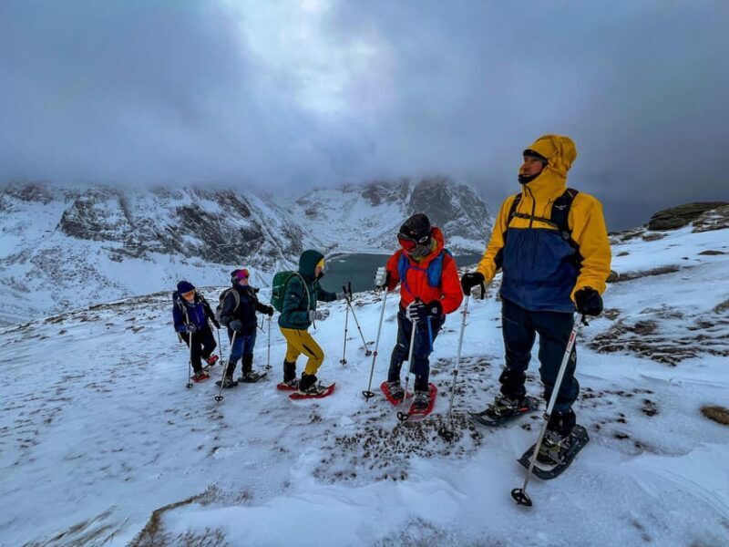 Lofoten: Half Day Snowshoe Tour - Who Will Love This Experience?