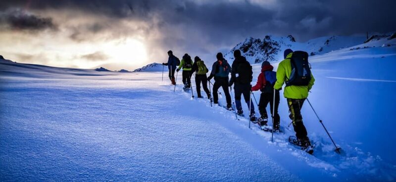Lofoten: Half Day Snowshoe Tour - Final Thoughts