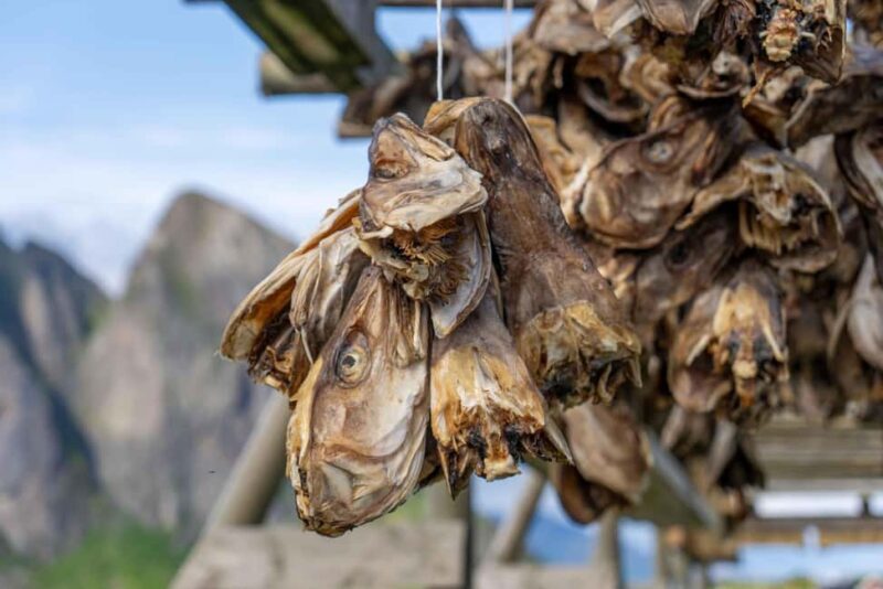 Lofoten: Hamnøy & Reine Private Photo Tour - Final Thoughts