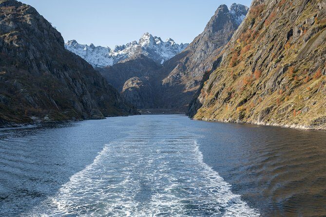 Lofoten Island: Silent Trollfjord Cruise from Svolvær - Who Will Love This Tour?