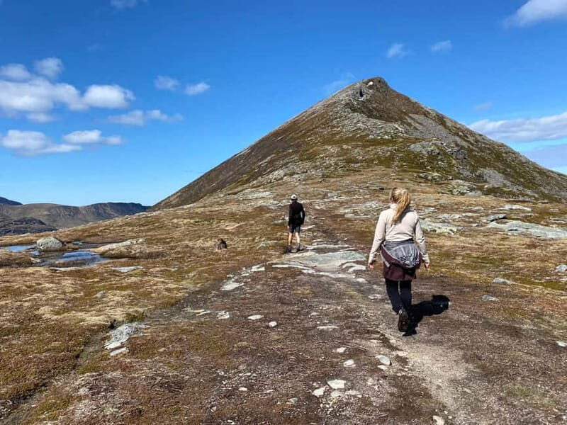 Lofoten Islands: Guided Hiking Into the Wilderness-Easy Tour - Key Points