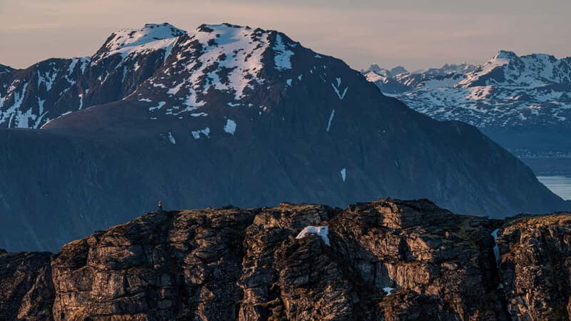 Lofoten Islands: Guided Hiking Into the Wilderness-Easy Tour - An In-Depth Look at the Lofoten Guided Hiking Tour