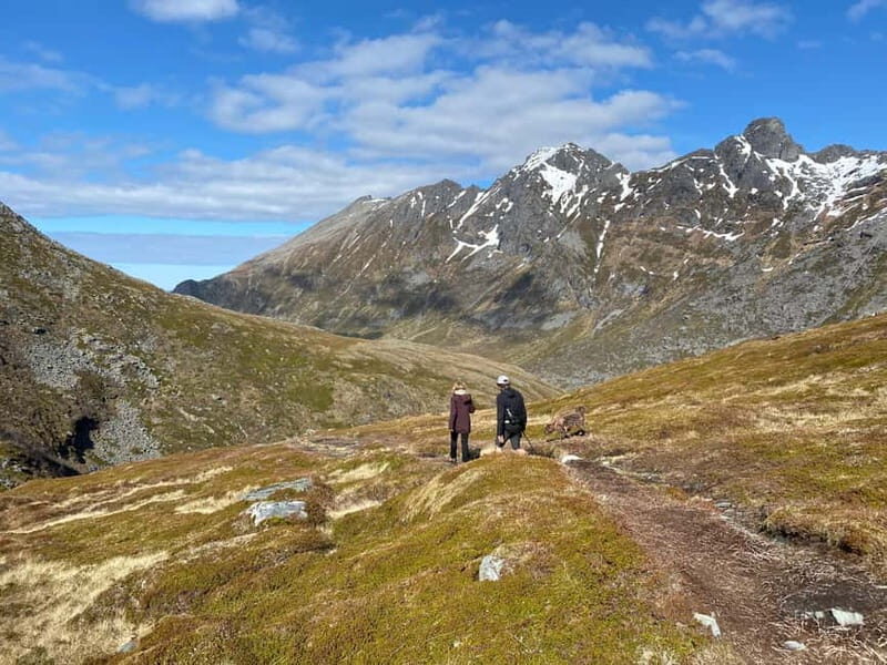 Lofoten Islands: Guided Hiking Into the Wilderness-Easy Tour - FAQs