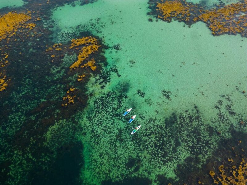 Lofoten Islands: SUP Adventure - Guided Tour - Exploring the Lofoten Islands with a SUP Adventure: An Honest Review