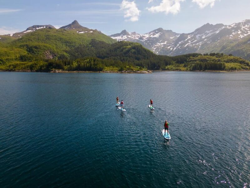 Lofoten Islands: SUP Adventure - Guided Tour - Who Would Love This Experience?